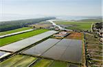 Aerial view of rice fields. Comporta, Alentejo, Portugal