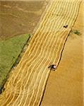 Vue aérienne de la récolte en Ribatejo, Portugal