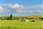 Une ferme dans les vastes plaines de l'Alentejo, Portugal