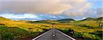 An empty and solitary road . Flores, Azores islands, Portugal