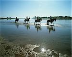 Eine Gruppe von Reitern am Fluss Tajo, Santarem, Portugal