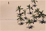 Playa de las Teresitas à San Andres, Tenerife, îles Canaries, Espagne