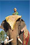 Surin, Thailand Surin. Suai Mahout und seinen Elefanten im Kostüm Kleid während des Festivals Surin Elephant Roundup. Die Veranstaltung im November sieht Hunderte von Elefanten, die Geschichte der Region Elefant und die Traditionen beteiligt.