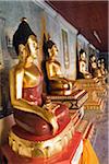 Thailand, Chiang Mai, Doi Suthep.  Buddha statues line the cloister of Wat Phra That Doi Suthep.