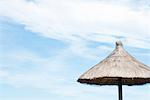 Thatched parasol