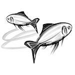 Pisces astrological sign, illustration