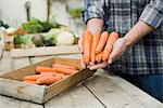 Man holding carrots in his hands.