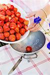 Mettre les fraises dans une passoire de femme