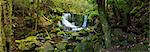 Horseshoe Falls, Mount-Field-Nationalpark, Tasmania, Australien