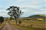 Countryside near Dungog, New South Wales, Australia