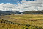 Plaines dans le Parc National de Cradle Mountain-Lake St Clair, UNESCO World Heritage zone, Tasmania, Australie