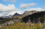 Cradle Mountain, Parc National de Cradle Mountain-Lake St Clair, UNESCO World Heritage zone, Tasmania, Australie