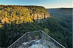 Kangaroo Valley, Parc National de Budderoo, New South Wales, Australie