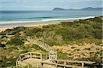 Passerelle, Bruny Island, Tasmanie, Australie