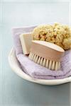 Sponge, Soap, Scrub Brush and Towel