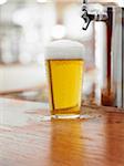 Glass of Beer on Bar Counter