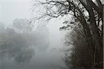 Murray River, Towong, Victoria, Australien