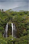 Opaeka'a Falls, Kauai, Hawaii, USA