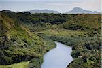 Rivière Wailua, Kauai, Hawaii, USA