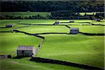 Paysage rural, Yorkshire Dales, Angleterre