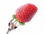 forked strawberry - ready to eat!