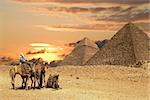 Tourists on Camel near the Great Pyramids of Gizeh Cairo Egypt.