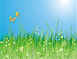 Flowers, grass and butterfly. A beautiful meadow!  Ideally for your use