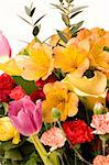 Tulips, Carnations & roses against a plain background