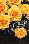 Yellow roses