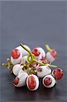 Red Grapes defrosting on the vine and on a wooden table