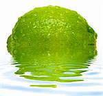 Lime with water drops and reflection on water isolated on white background