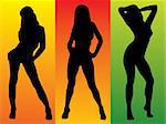 Three sexy women in silhouette on colourful backgrounds