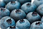 Blueberry close up background texture