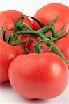 Vine Tomato's set against a plain background