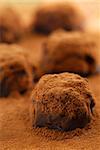 Macro image of dark chocolate truffles sprinkled with cocoa powder