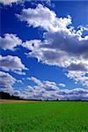 Beautiful summer landscape with green grass and cloudy blue sky