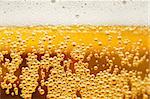 Macro of refreshing beer