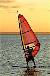 Backlit windsurfer at sunset on calm coastal water