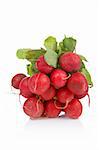 A bunch of radish reflected on white background