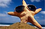Starfish on a sunny beach with sunglasses