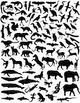 Collection of a wide range of wild animal silhouettes