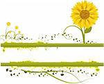 Vector- Floral grunge with sunflower, vines and grass. Copy space for text.