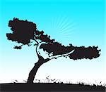 Abstract silhouette of meadow / tree in the daytime.