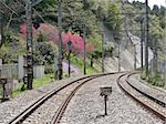 empty railway road scene in springtime in Japanese mountains