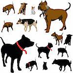 Colour dog illustrations and black silhouettes with red pet collar