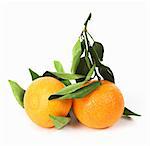 Two tangerines with leaves on a white background.