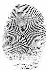 Detailed black fingerprint isolated on white background.