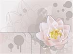 A funky background featuring a beautiful lily or lotus. No meshes used.