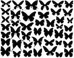 Selection of vector butterfly outlines and silhouettes