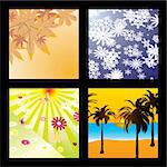 four seasons in one image acollection of four different squares with each of the seasons